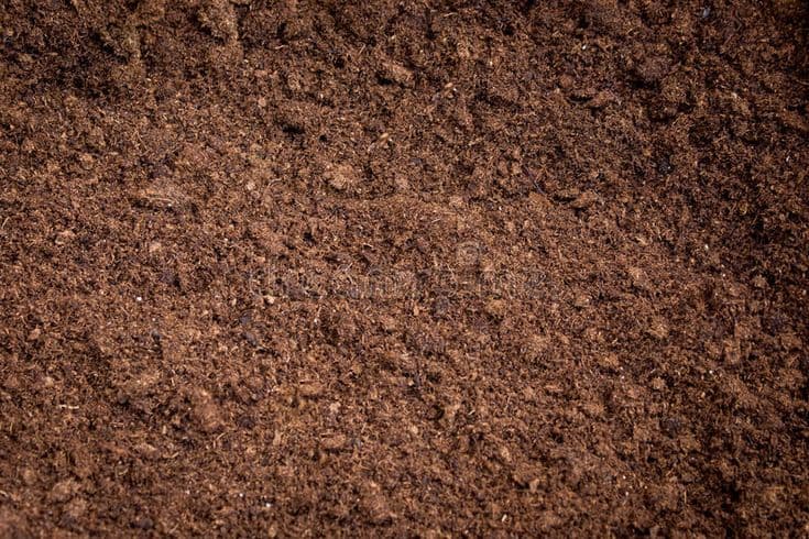 Soil & Compost